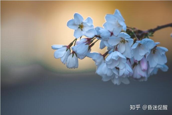 昏迷植物人促醒的臨床過程